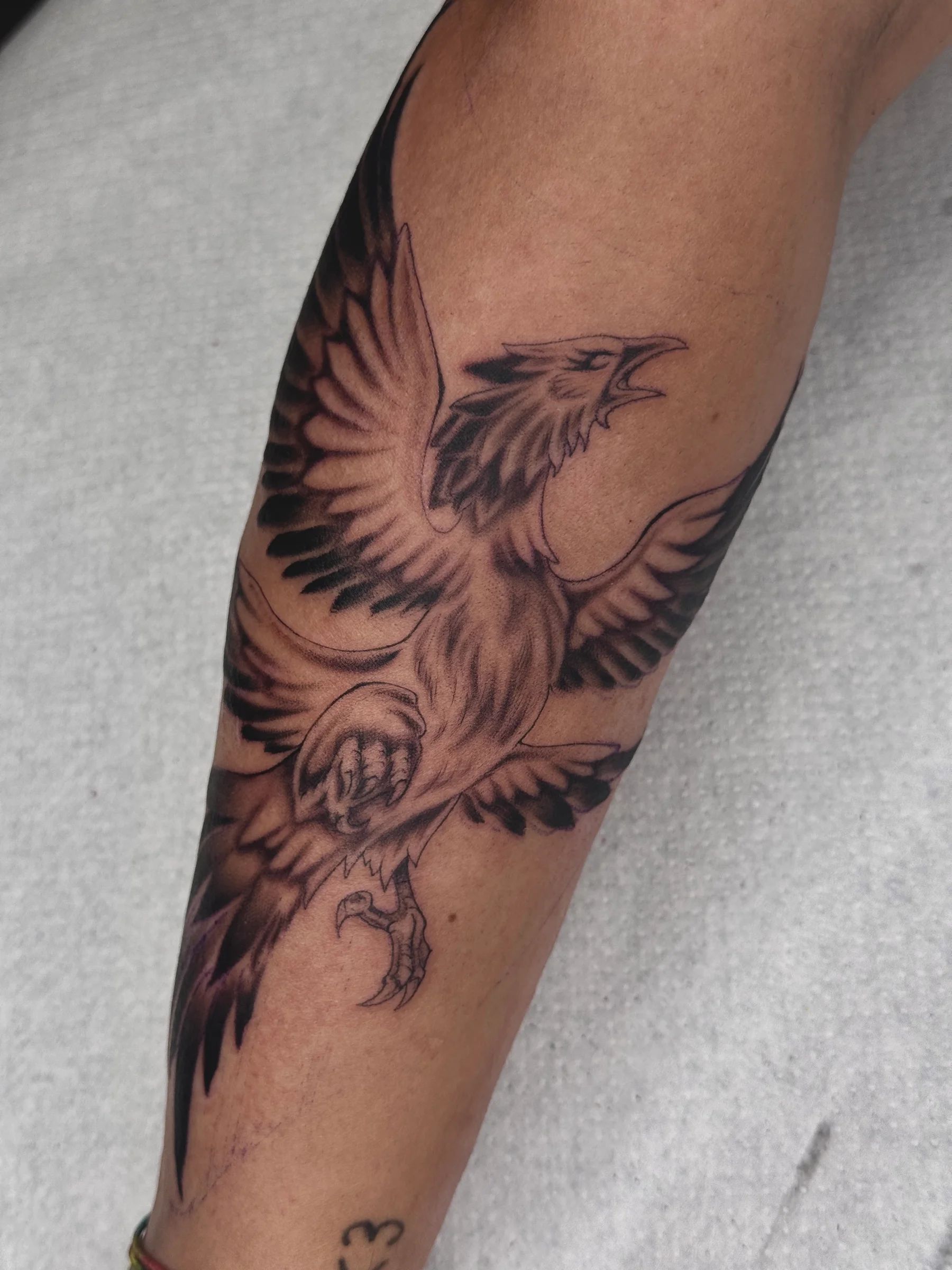 Ave fénix con las alas abiertas en el antebrazo